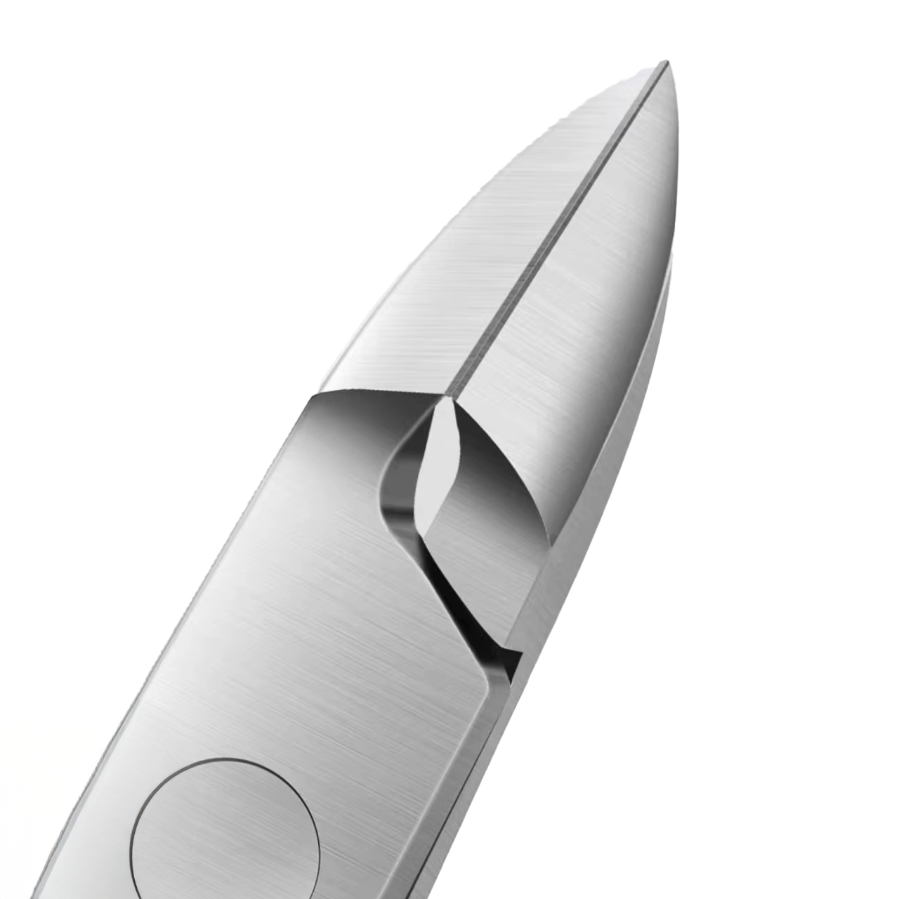 Nail Clipper